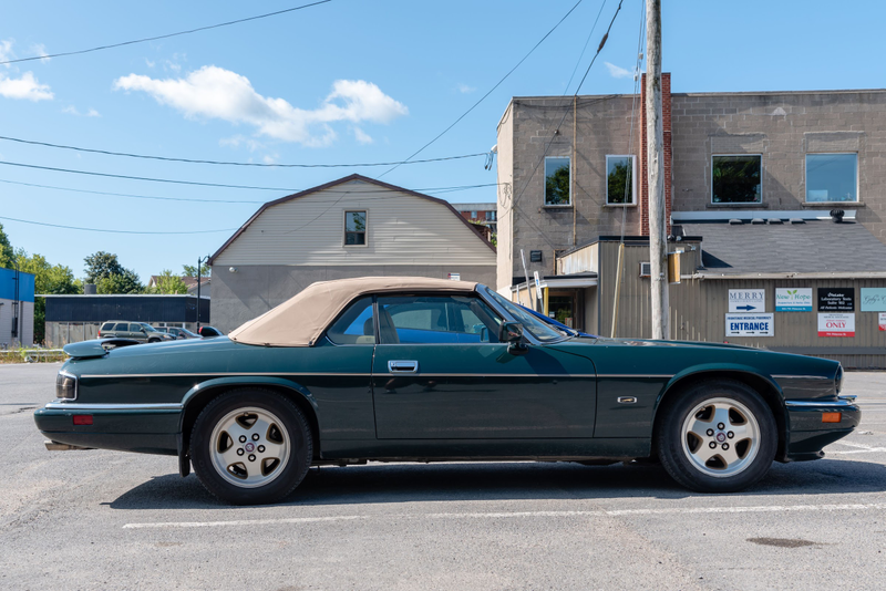 Illustration for article titled Pics from the Curbside: 2019-08-10